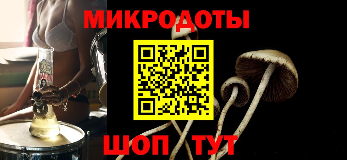 Усть-Кут  Псилоцибиновые грибы Cubensis  Вход с VPN  Галлюциногенные грибы Psilocybine cubensis 